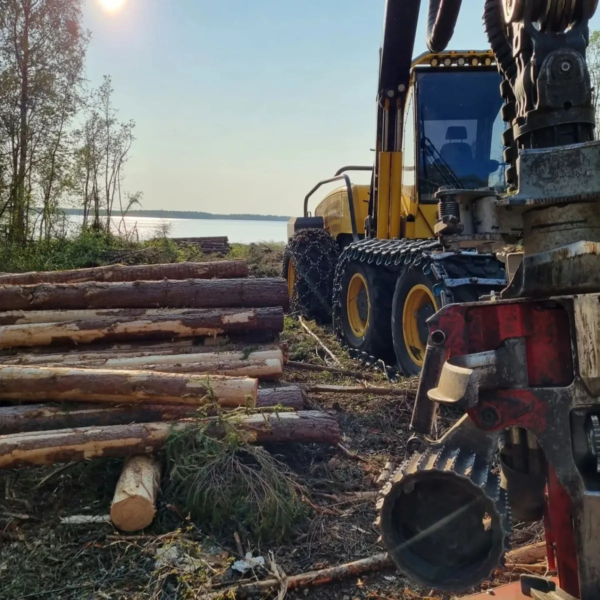Skördarens aggregat i förgrunden bredvid nyupplagt virke vid vattnet