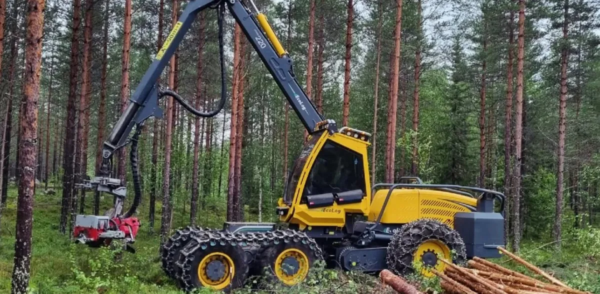 Gul skördare gallrar i en tallskog, med kapat virke vid hjulen